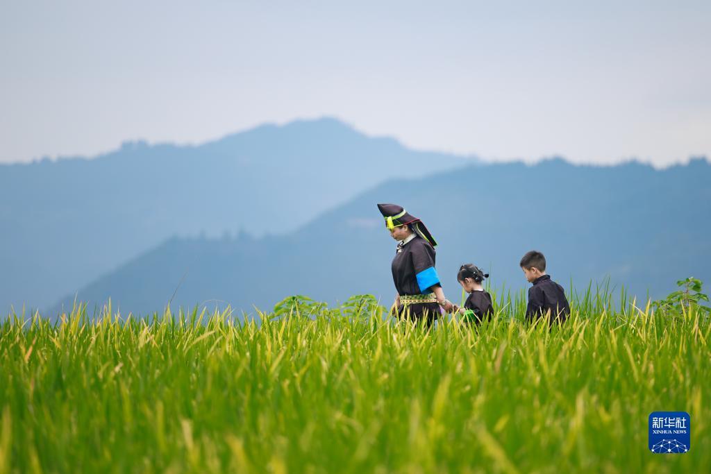 新mg线路检测